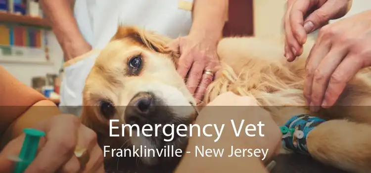 Emergency Vet Franklinville - New Jersey