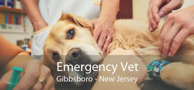 Emergency Vet Gibbsboro - New Jersey