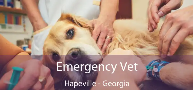 Emergency Vet Hapeville - Georgia