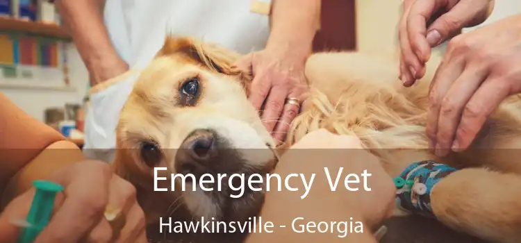 Emergency Vet Hawkinsville - Georgia