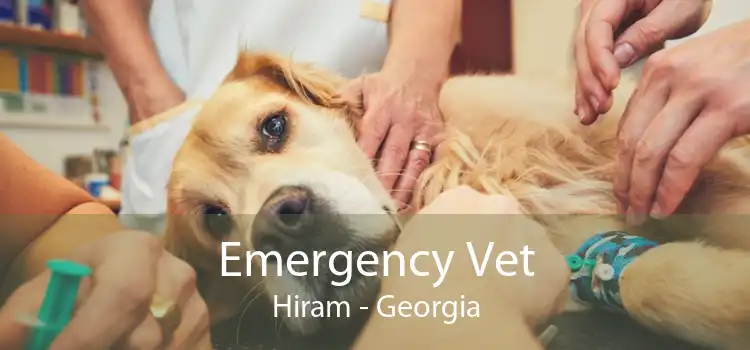 Emergency Vet Hiram - Georgia