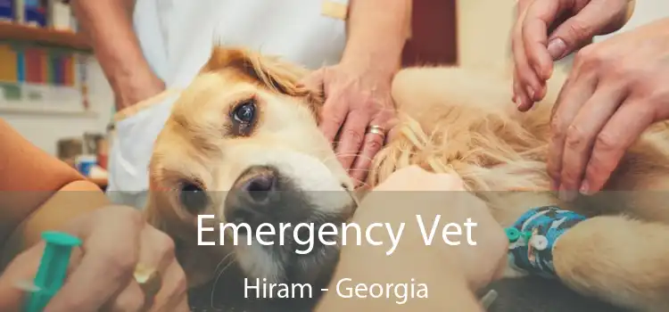 Emergency Vet Hiram - Georgia