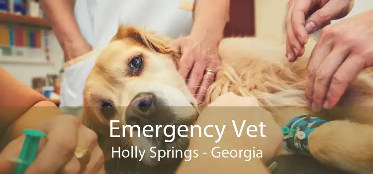 Emergency Vet Holly Springs - Georgia