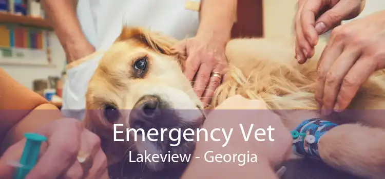 Emergency Vet Lakeview - Georgia