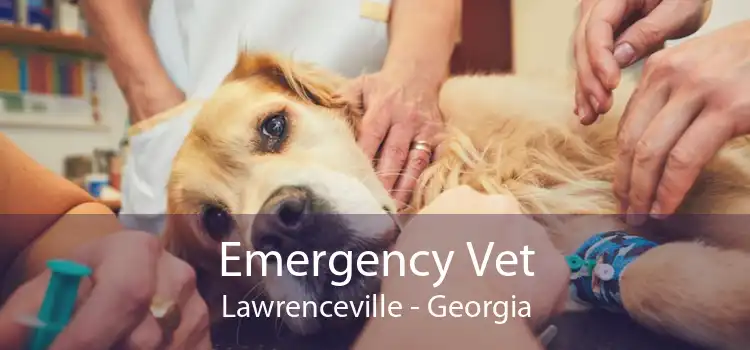 Emergency Vet Lawrenceville - Georgia