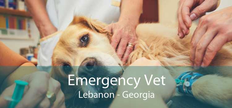 Emergency Vet Lebanon - Georgia