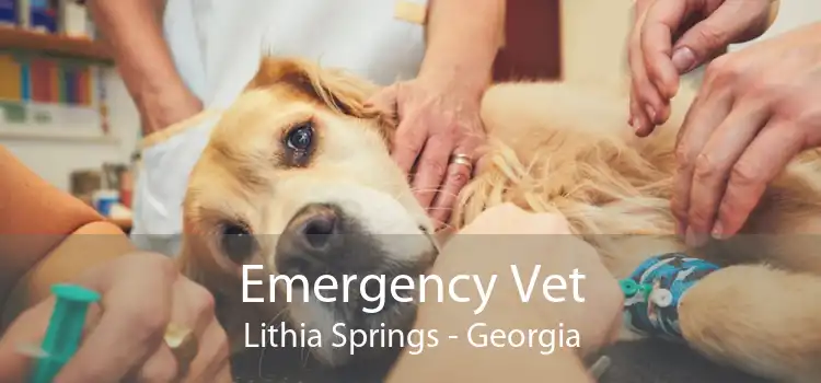 Emergency Vet Lithia Springs - Georgia
