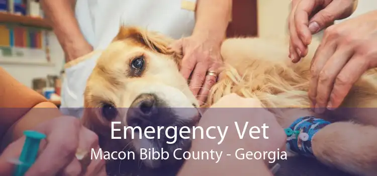 Emergency Vet Macon Bibb County - Georgia