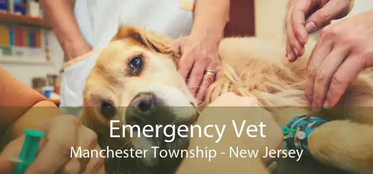 Emergency Vet Manchester Township - New Jersey
