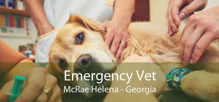 Emergency Vet McRae Helena - Georgia
