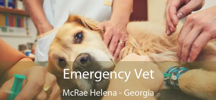 Emergency Vet McRae Helena - Georgia