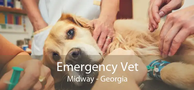 Emergency Vet Midway - Georgia