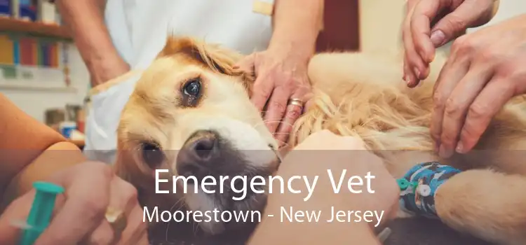 Emergency Vet Moorestown - New Jersey