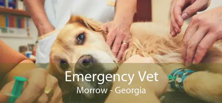 Emergency Vet Morrow - Georgia