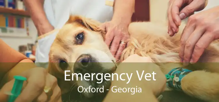 Emergency Vet Oxford - Georgia