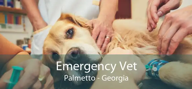 Emergency Vet Palmetto - Georgia
