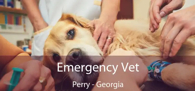 Emergency Vet Perry - Georgia