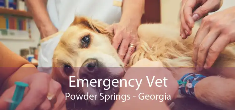 Emergency Vet Powder Springs - Georgia