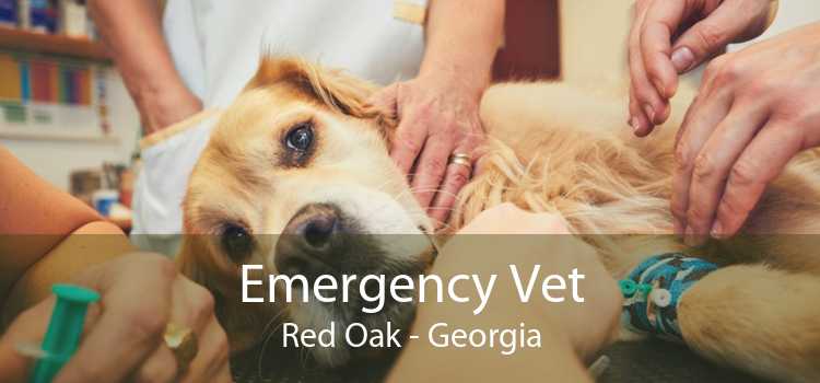 Emergency Vet Red Oak - Georgia