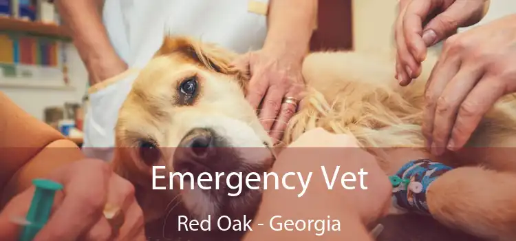 Emergency Vet Red Oak - Georgia