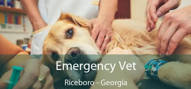 Emergency Vet Riceboro - Georgia