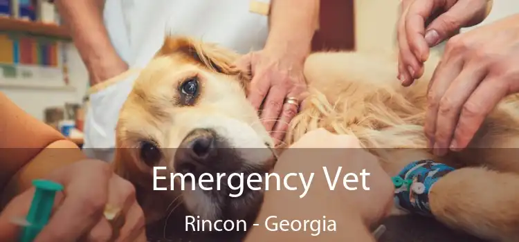 Emergency Vet Rincon - Georgia