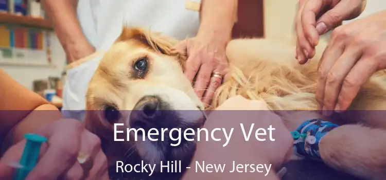 Emergency Vet Rocky Hill - New Jersey