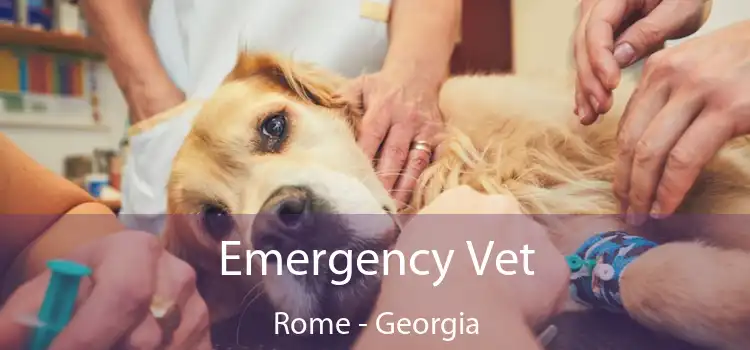 Emergency Vet Rome - Georgia