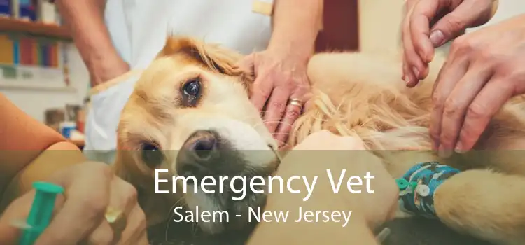 Emergency Vet Salem - New Jersey