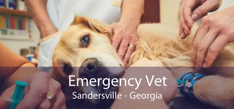 Emergency Vet Sandersville - Georgia
