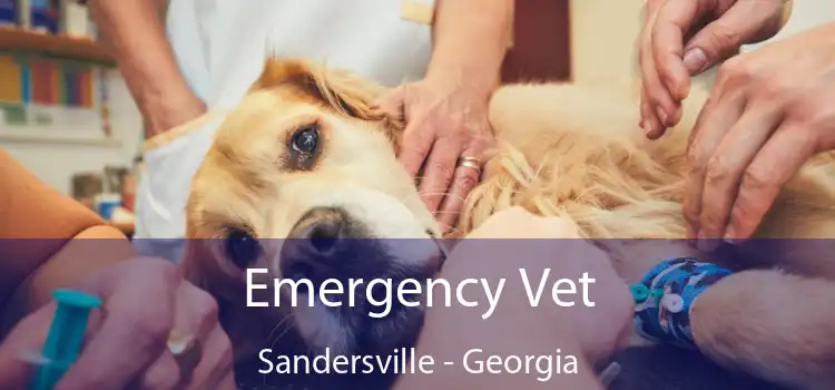 Emergency Vet Sandersville - Georgia