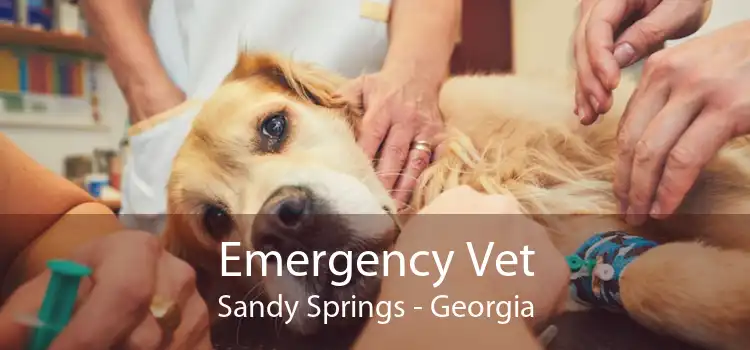Emergency Vet Sandy Springs - Georgia