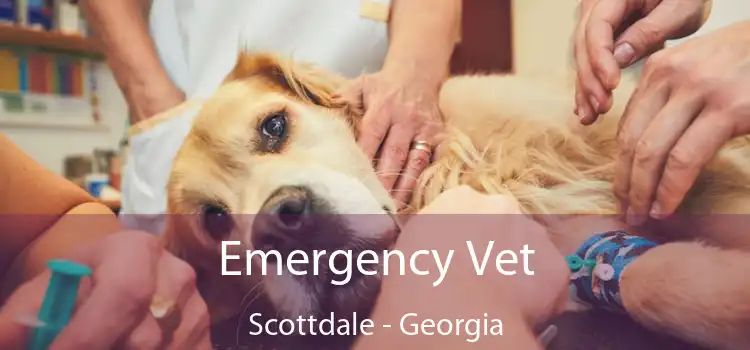 Emergency Vet Scottdale - Georgia