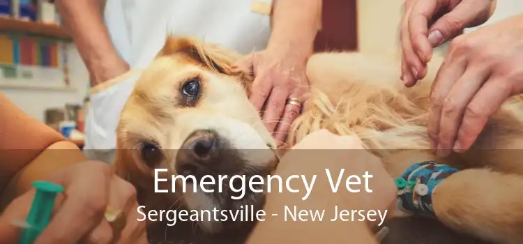 Emergency Vet Sergeantsville - New Jersey