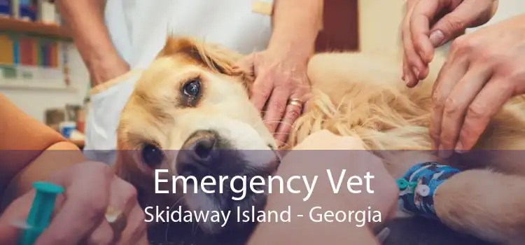 Emergency Vet Skidaway Island - Georgia