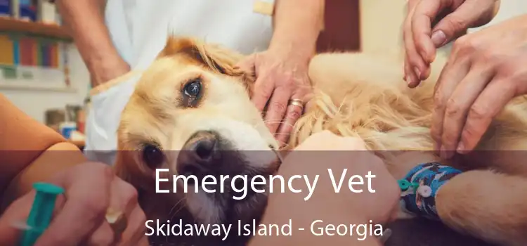 Emergency Vet Skidaway Island - Georgia