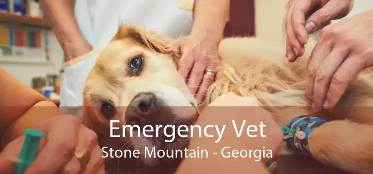 Emergency Vet Stone Mountain - Georgia