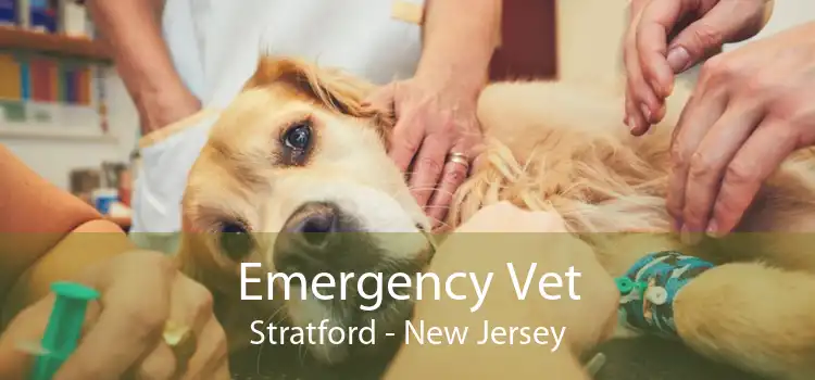 Emergency Vet Stratford - New Jersey