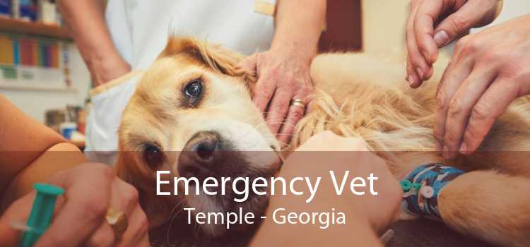 Emergency Vet Temple - Georgia