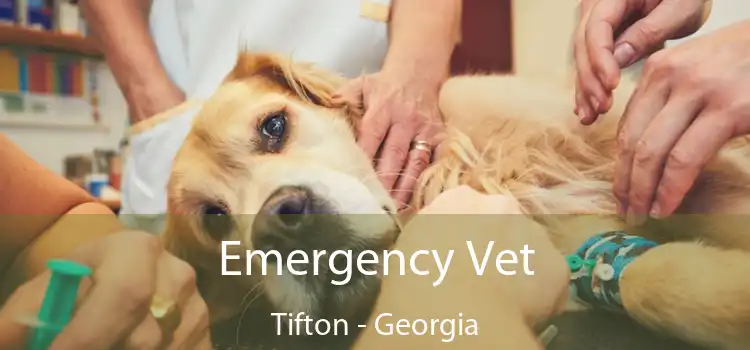 Emergency Vet Tifton - Georgia