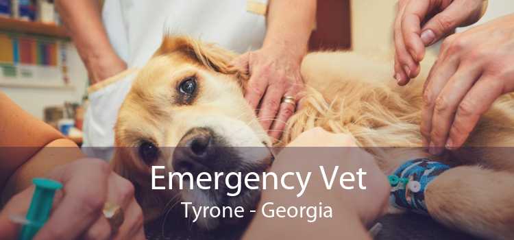 Emergency Vet Tyrone - Georgia