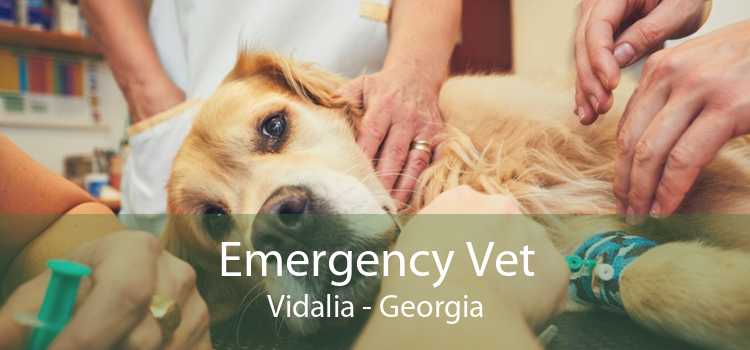 Emergency Vet Vidalia - Georgia