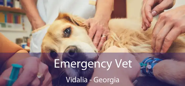 Emergency Vet Vidalia - Georgia