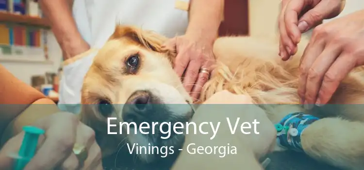 Emergency Vet Vinings - Georgia