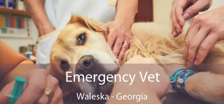 Emergency Vet Waleska - Georgia