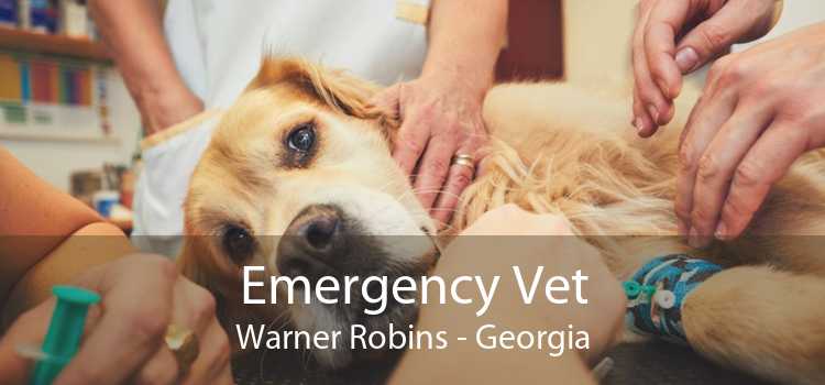 Emergency Vet Warner Robins - Georgia