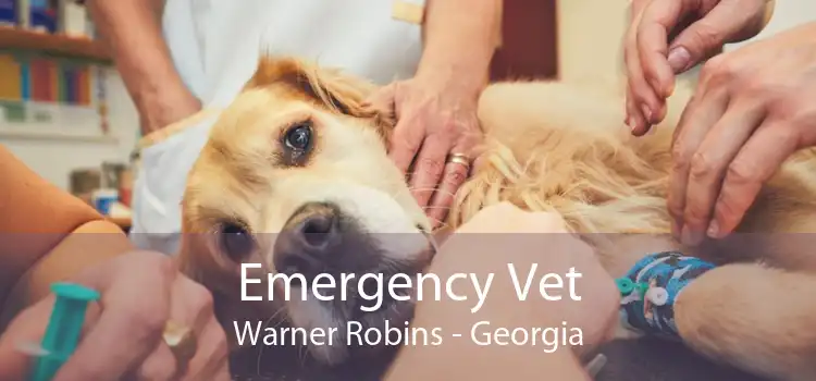 Emergency Vet Warner Robins - Georgia