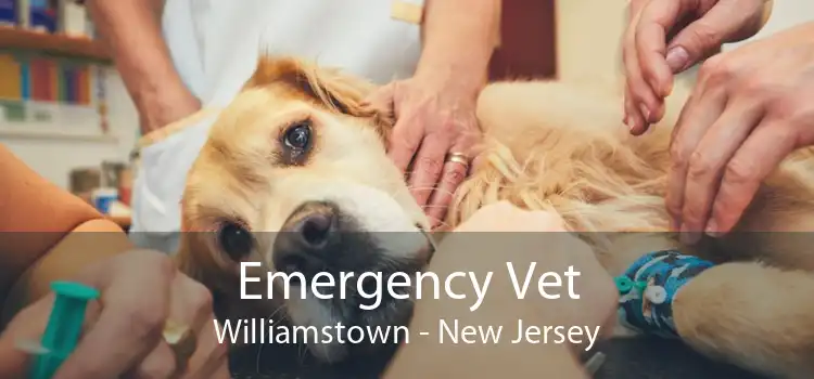 Emergency Vet Williamstown - New Jersey