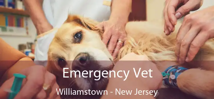 Emergency Vet Williamstown - New Jersey