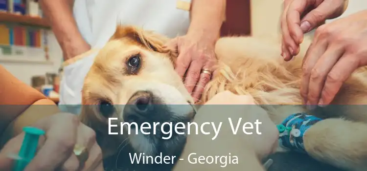 Emergency Vet Winder - Georgia